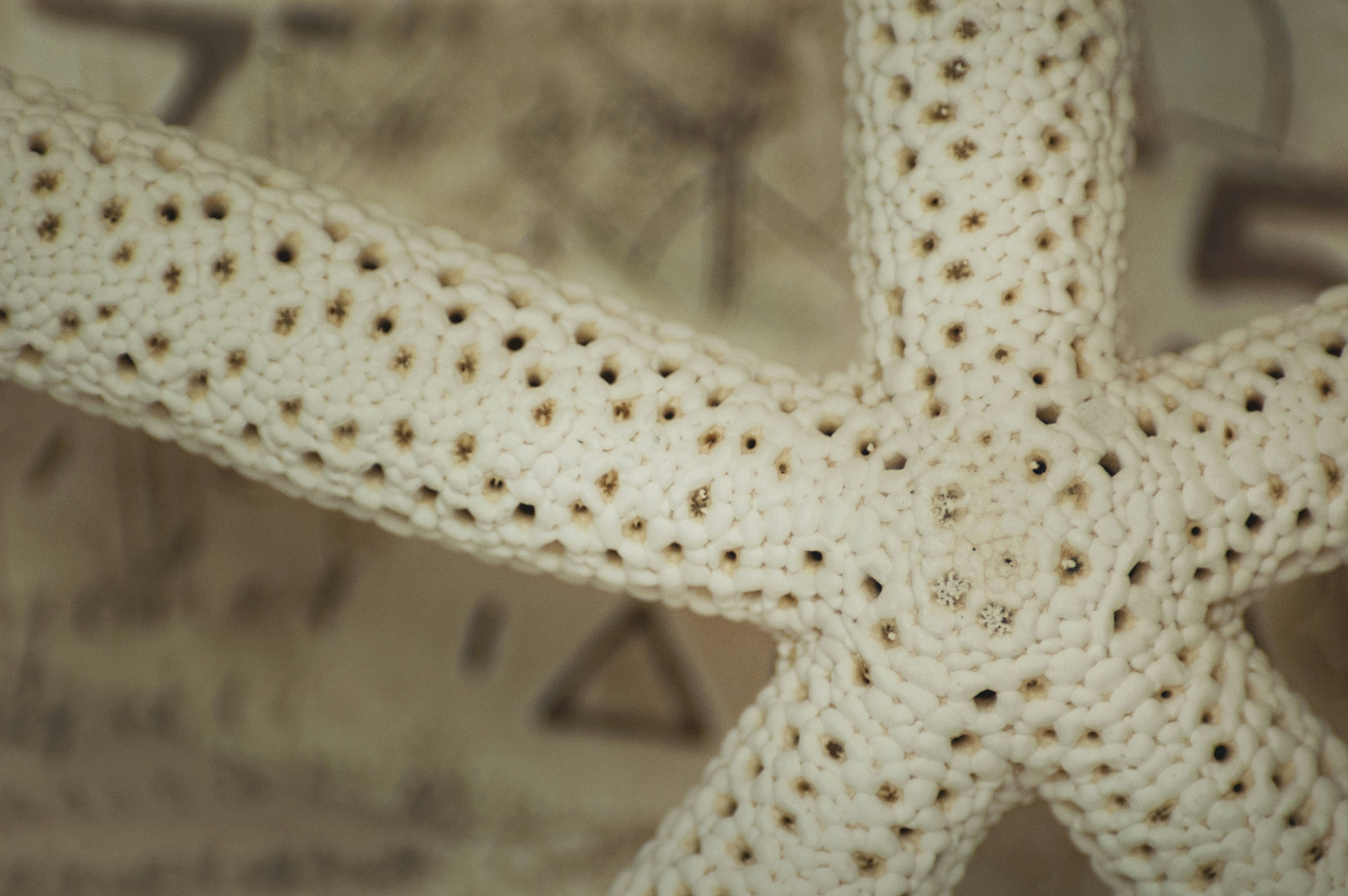 Photo by jentheodore