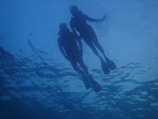 Two silhouetted scuba divers are swimming underwater with fins. They are submerged in a vast body of blue water with sunlight faintly penetrating the surface, creating a serene and mysterious atmosphere.