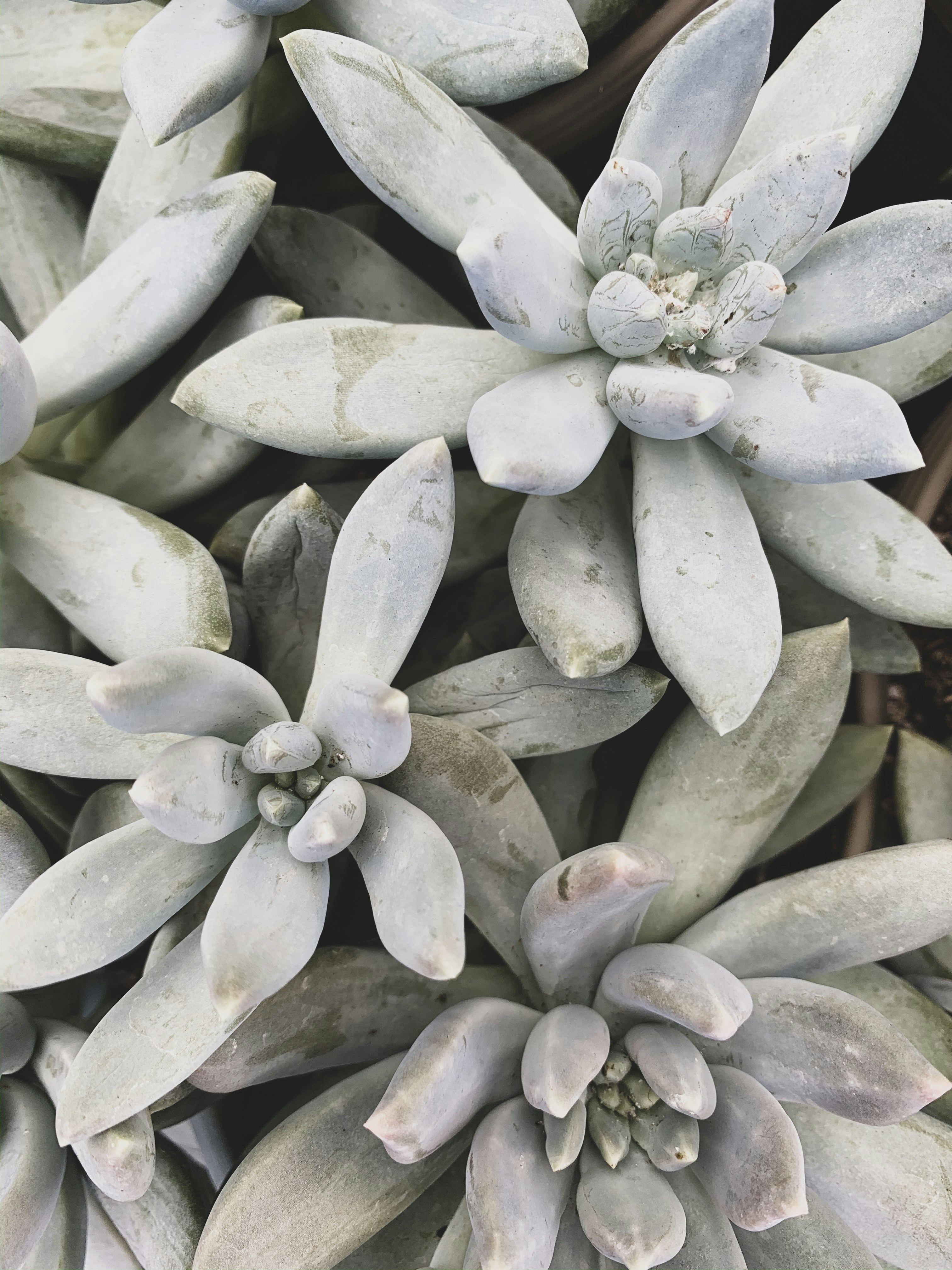 Photo by andrewjchacon