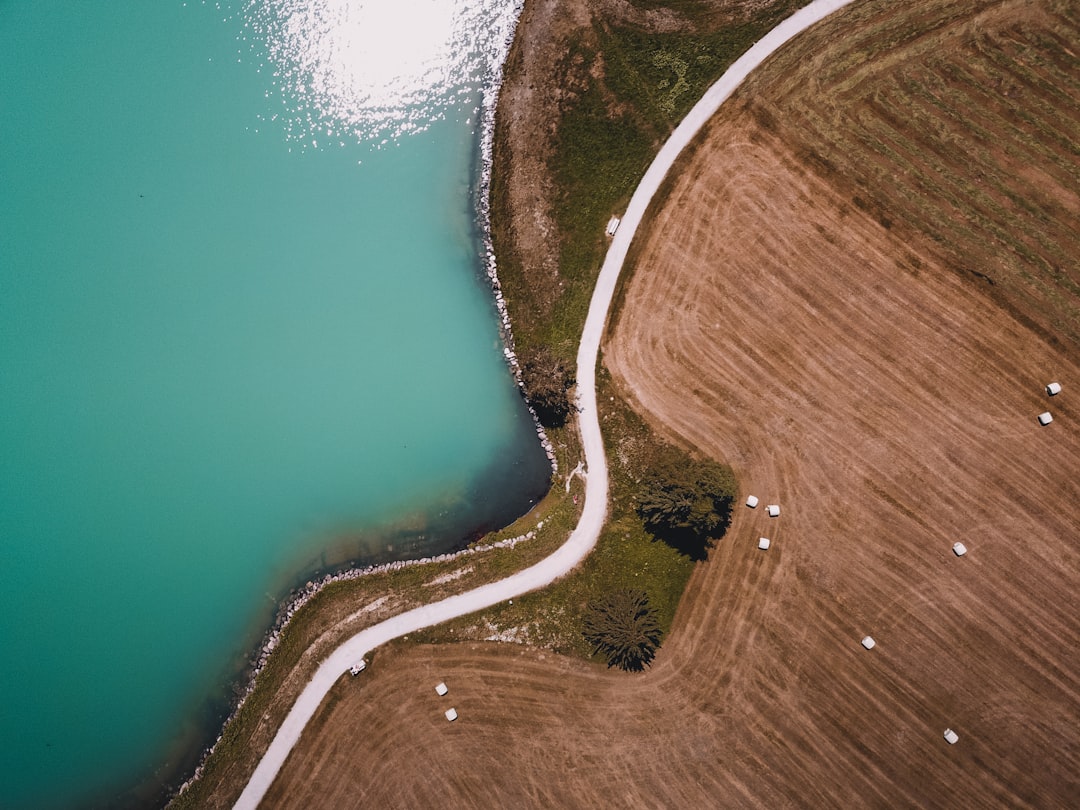 green grass field near body of water