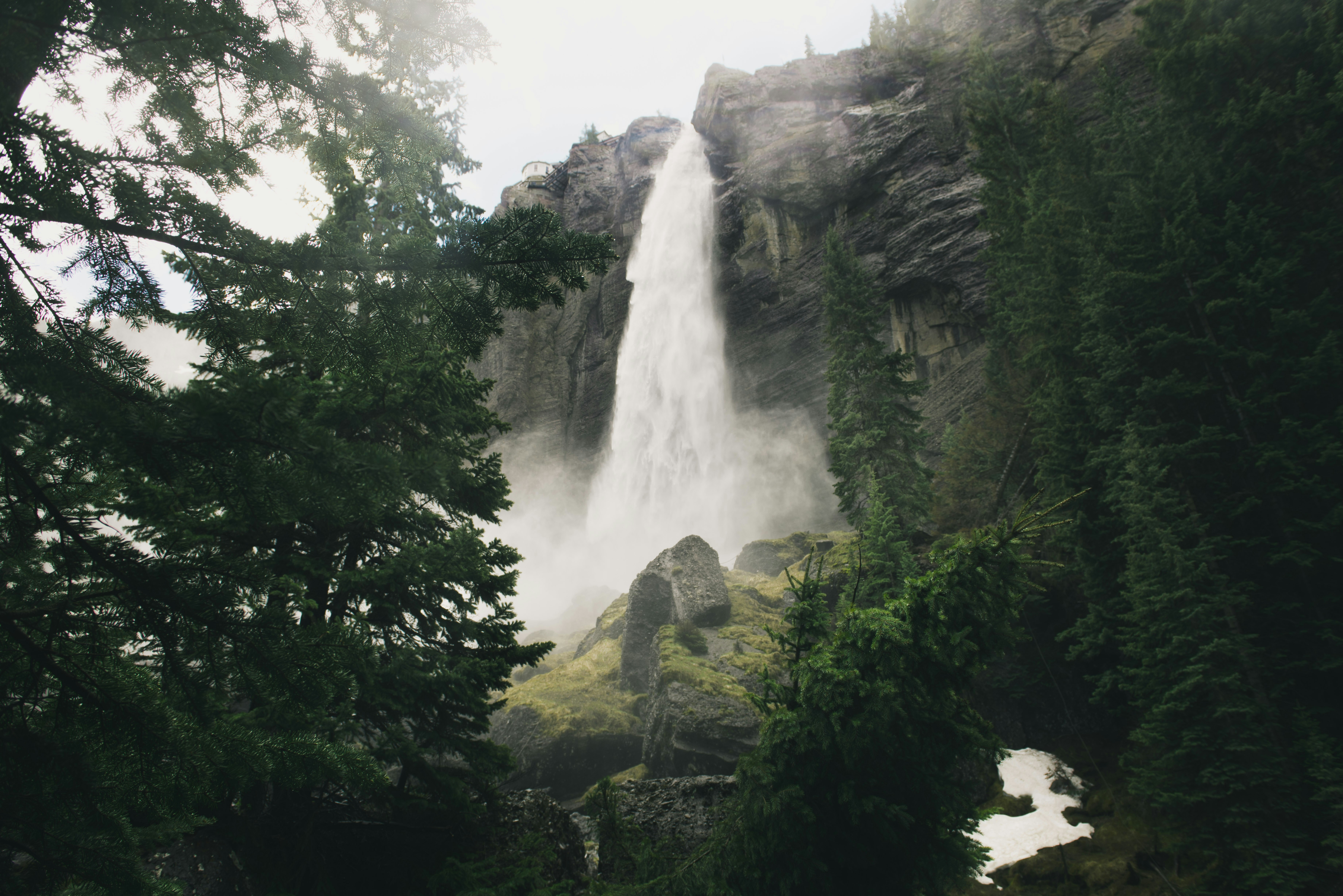 green trees beside waterfall during daytime