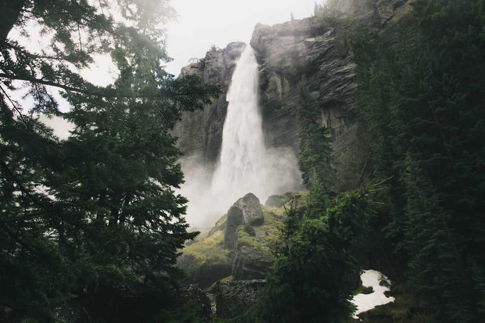 green trees beside waterfall during daytime