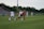 A competitive women's soccer match taking place on a grassy field. Players in red and black are attempting to gain possession of the ball, while players in white are defending. The scene conveys action and movement, with players focused on the game. Spectators are seated in the background, and there are advertisements along the sidelines.
