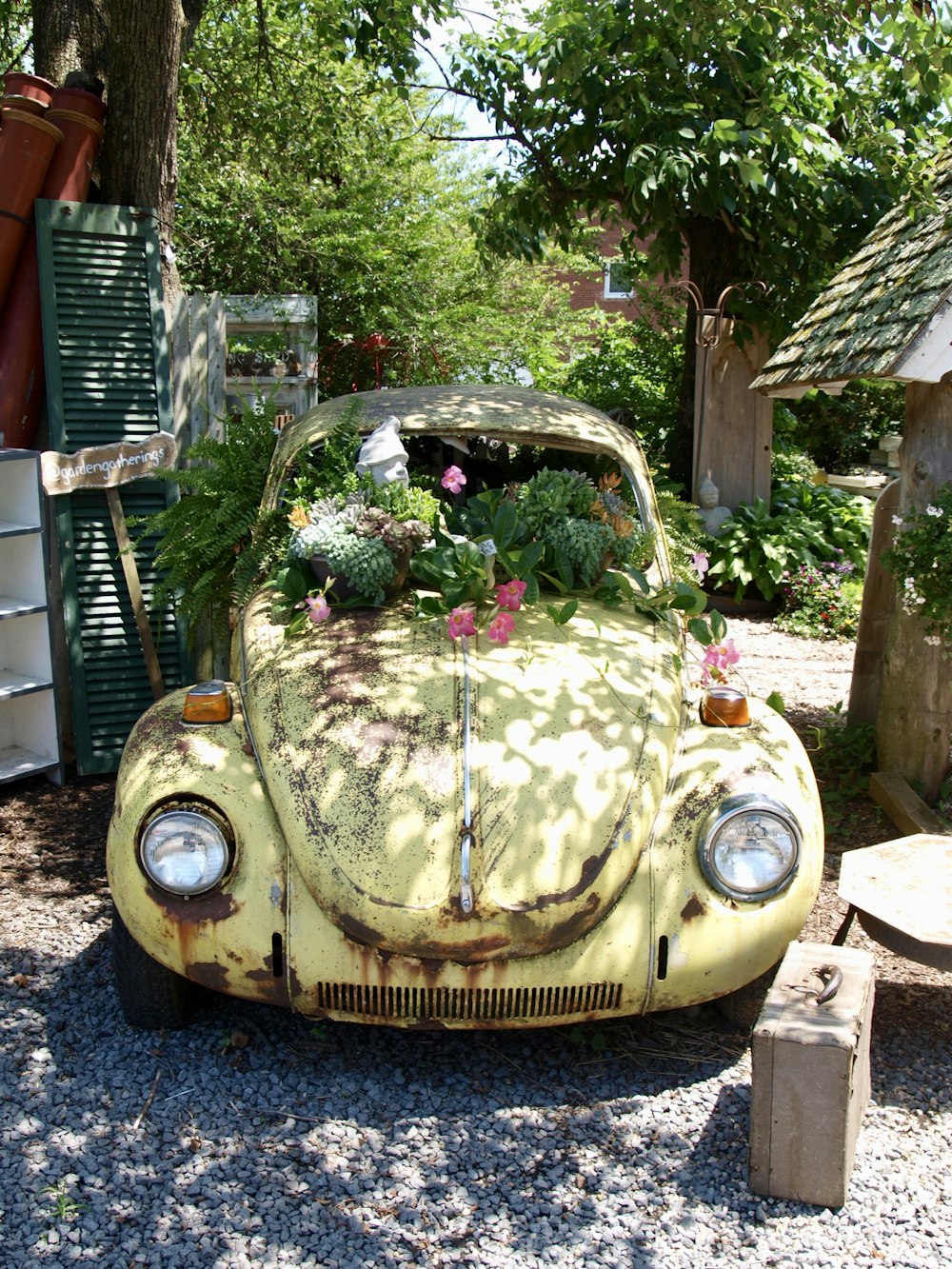 yellow Volkswagen Beetle