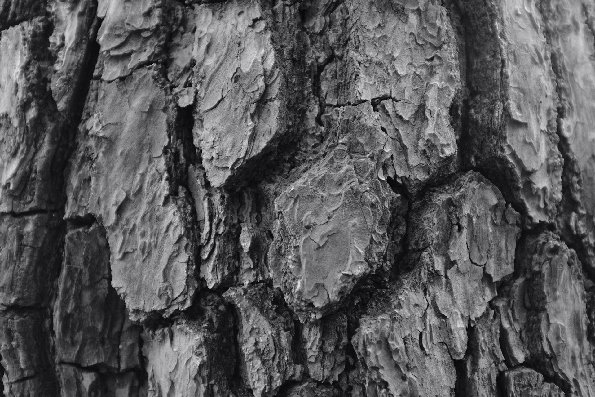 rock boulder