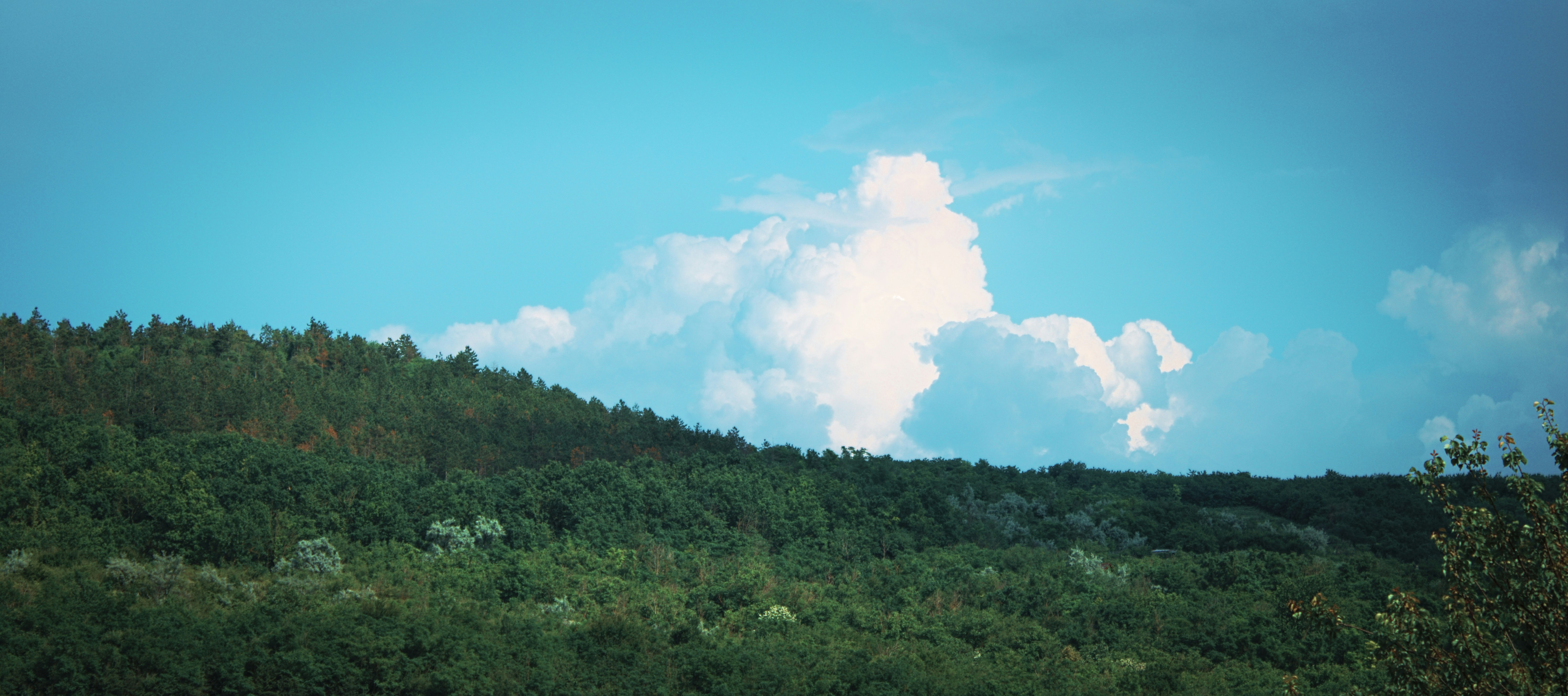 Photo by alexandru97