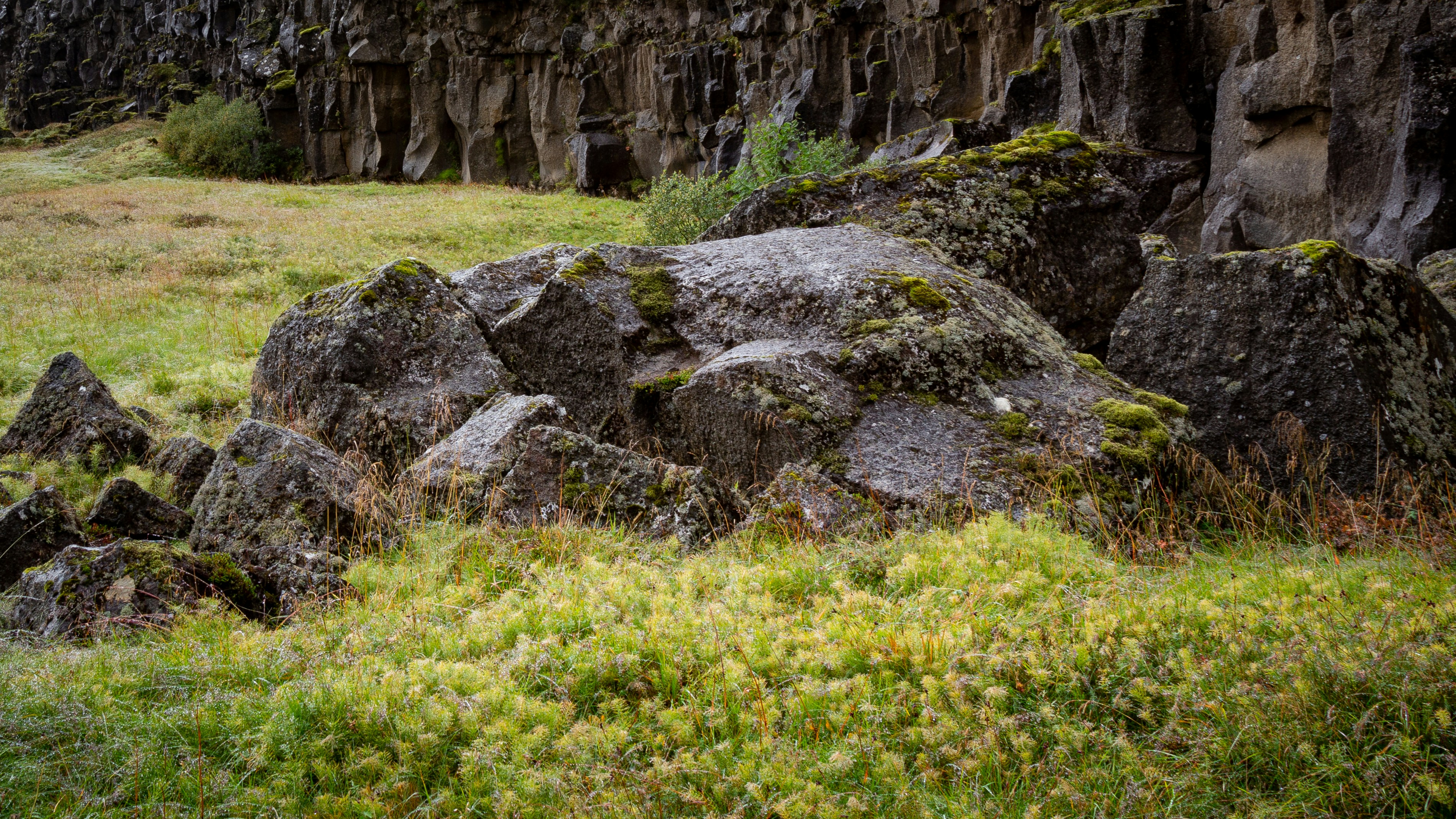 Photo by sandymoonlight