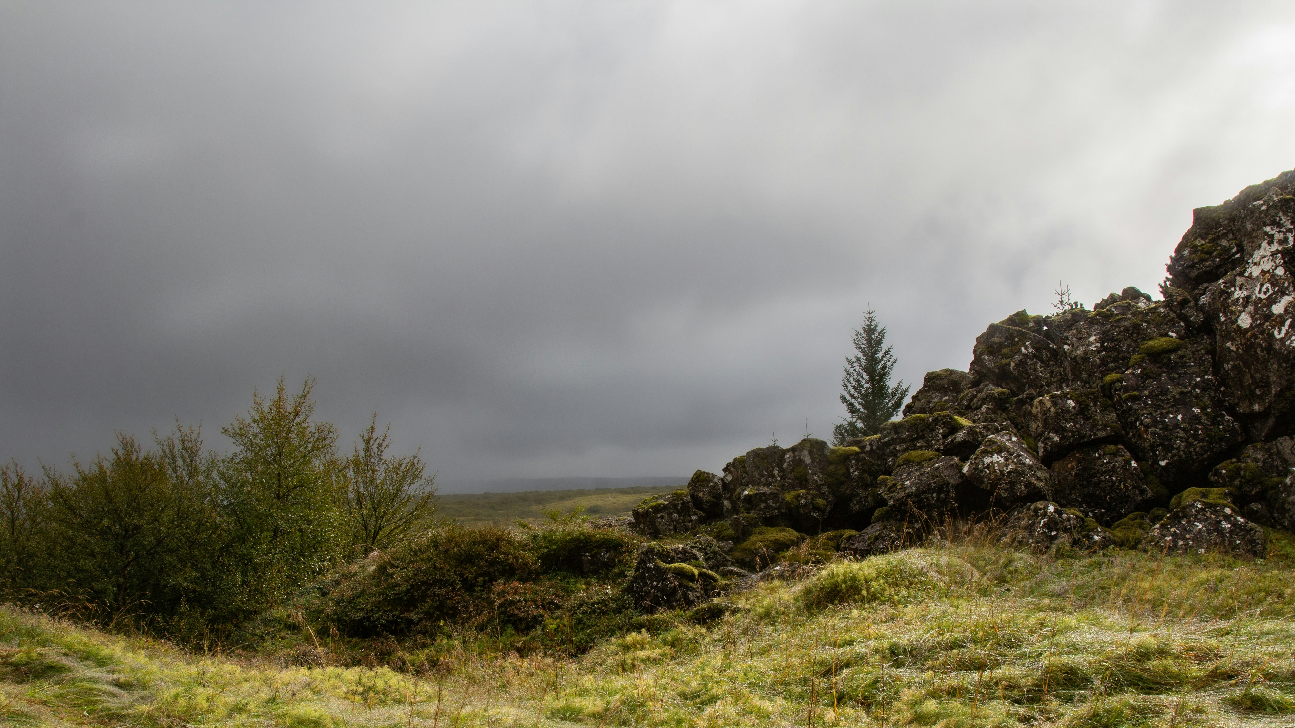 Photo by sandymoonlight