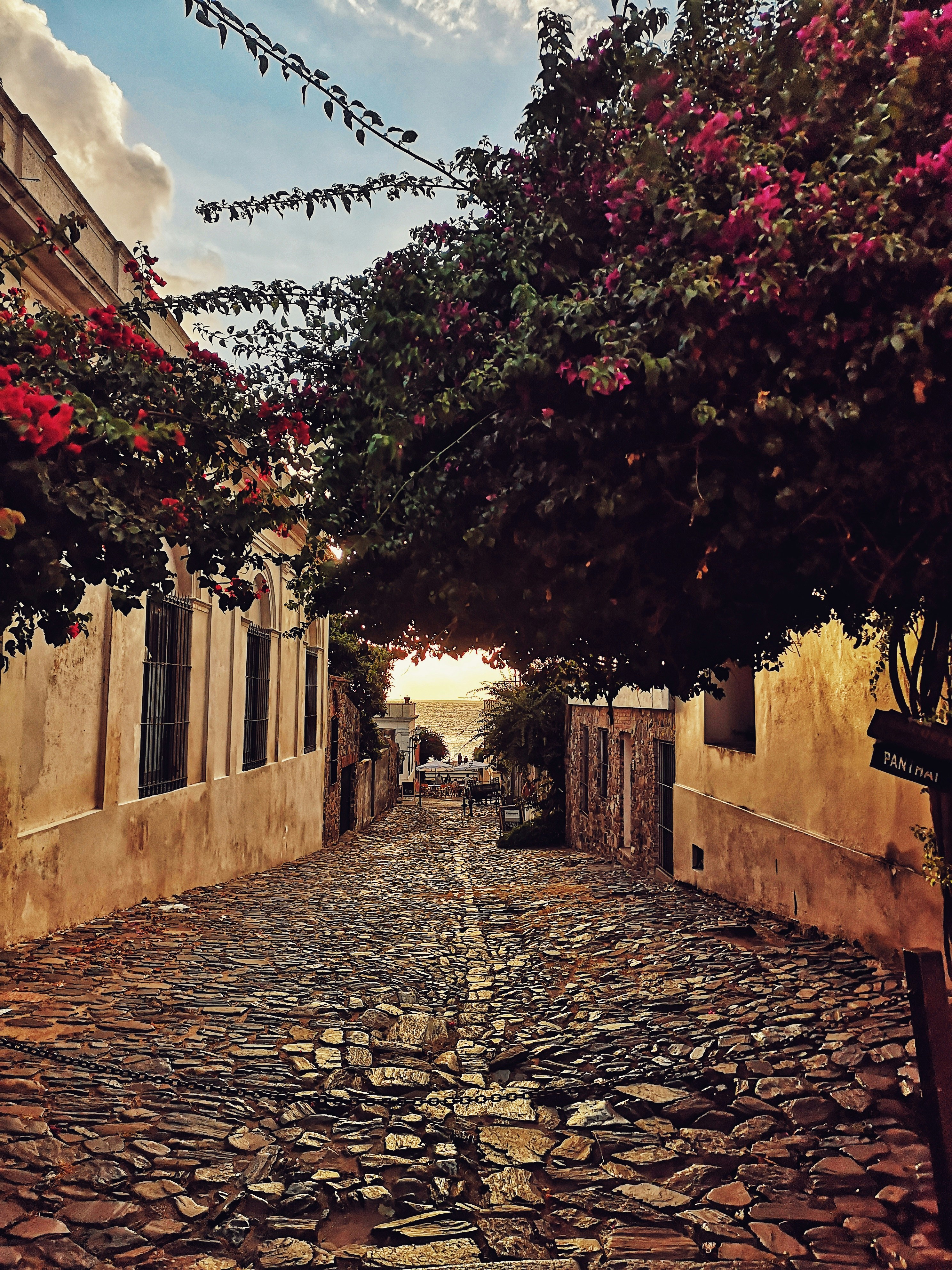 Diseño Interior Uruguay