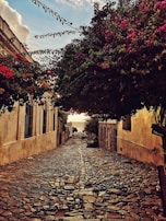 A narrow cobblestone street lined with blooming bougainvillea and quaint stone houses bathed in afternoon light.