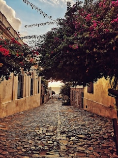 A narrow cobblestone street lined with blooming bougainvillea and quaint stone houses bathed in afternoon light.
