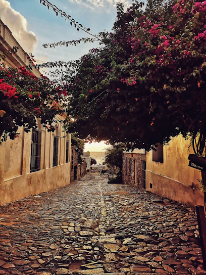 Sunlit narrow streets of Sainte-Maxime with blooming bougainvillea.