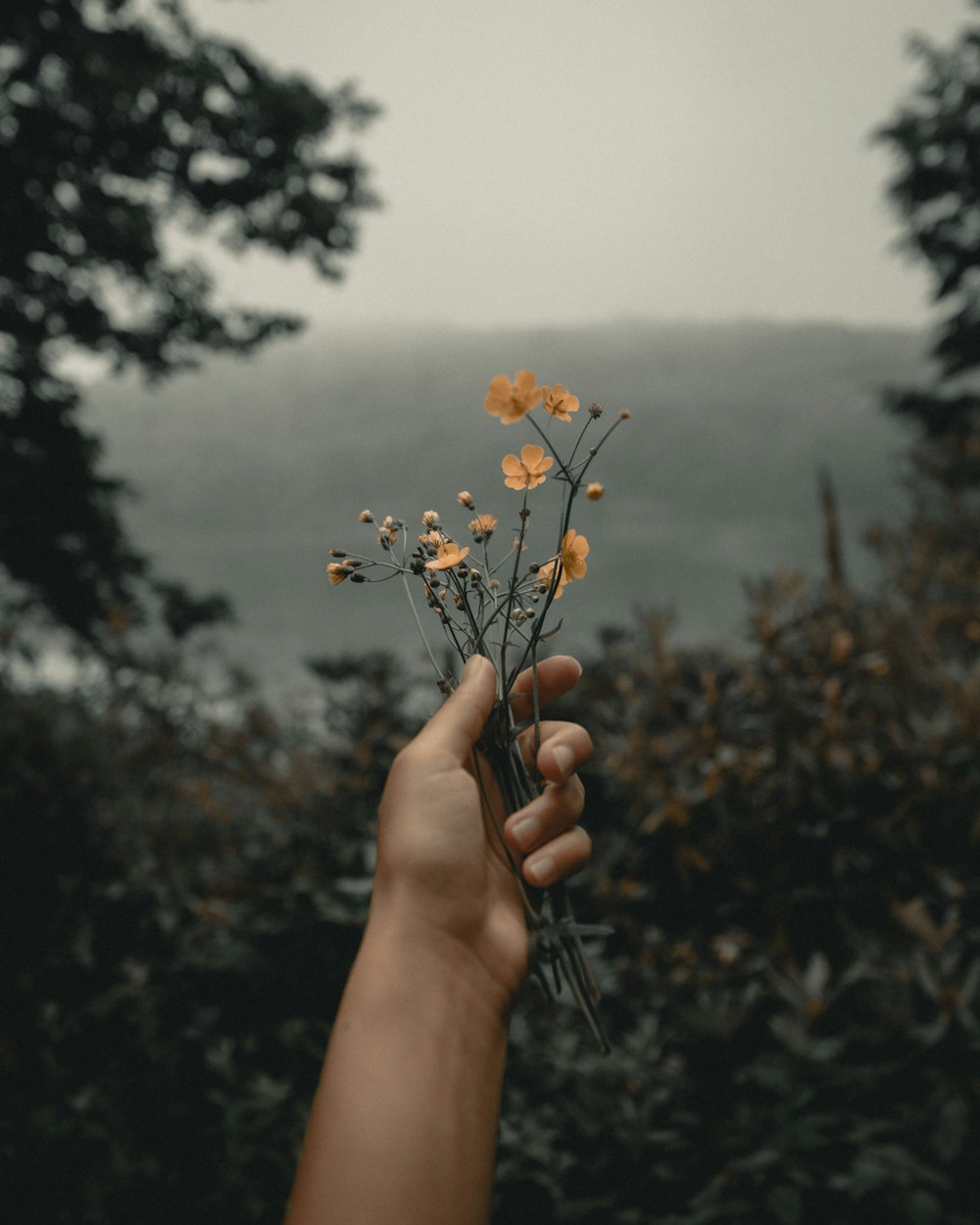 Persona che tiene fiori dai petali d'arancio