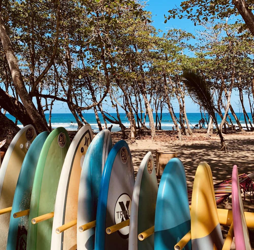 assorted-color surfboard lot in rack during daytime