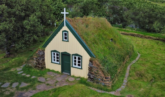green and white grass roofed church building in Hofskirkja Iceland