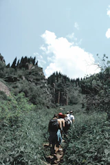 Hikers walking along a green trail surrounded by dense forest on Mount Meru.