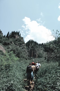 A group of travelers trekking through dense green forests with a mountain peak in the distance under a clear blue sky.