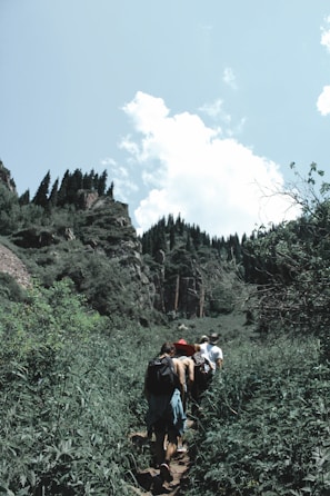 A group of hikers crossing a lush green forest trail in Cameroon under a bright blue sky.