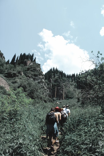 A group of travelers trekking through dense green forests with a mountain peak in the distance under a clear blue sky.