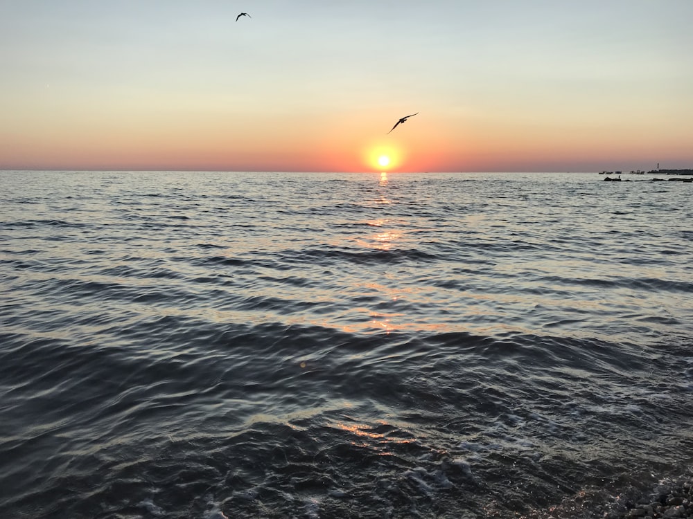 body of water during sunset