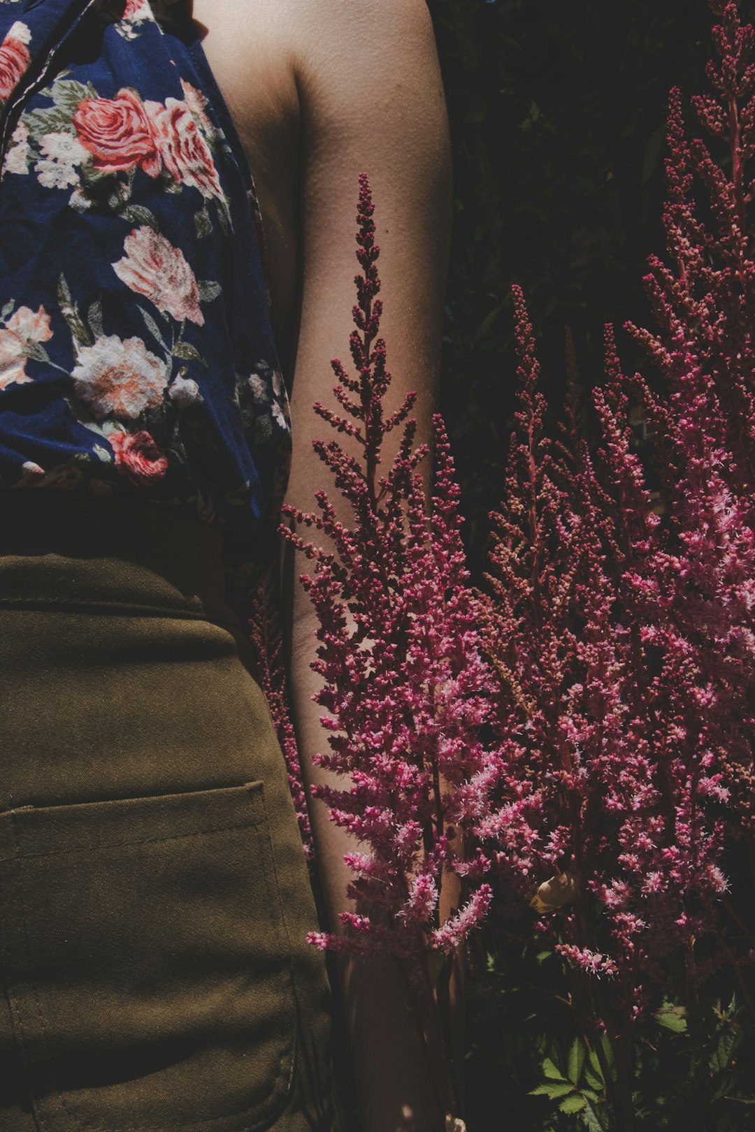 woman near pink petaled flower plant