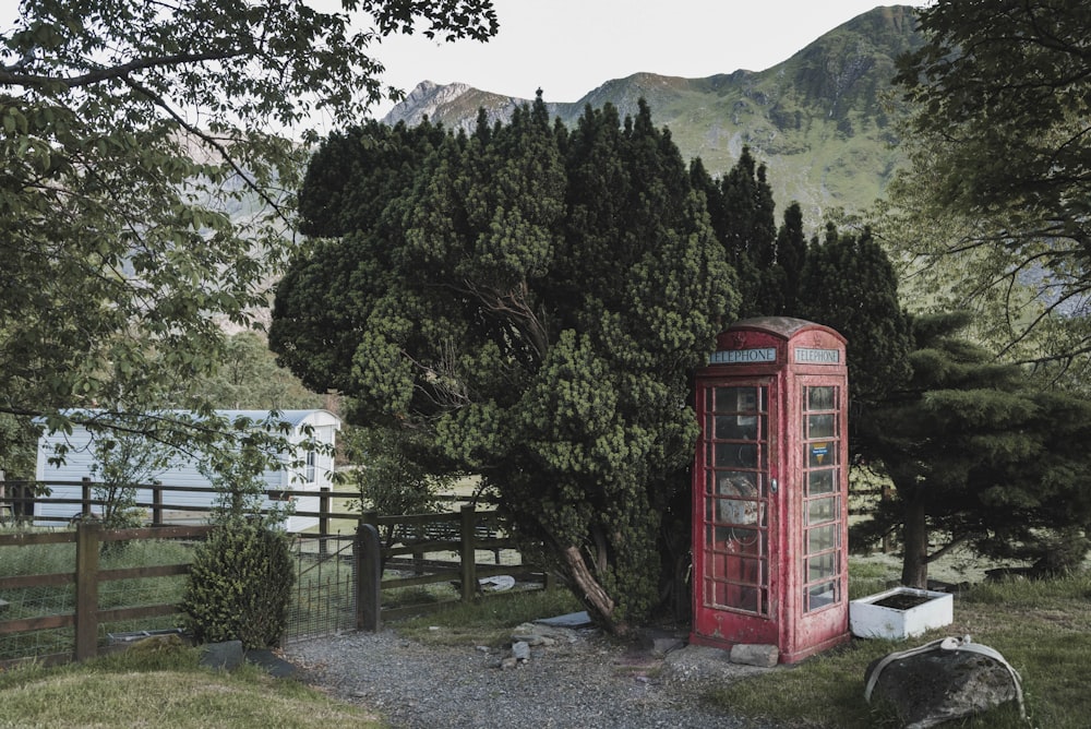 red wooden telephone beside green tree
