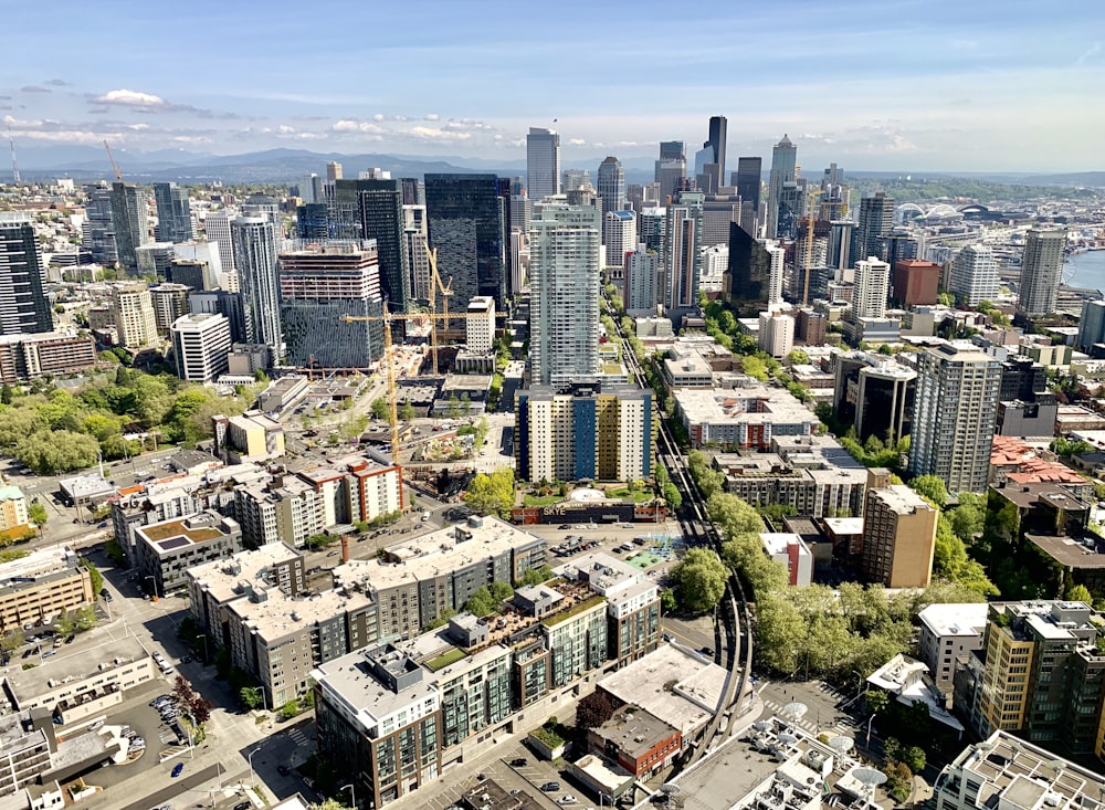 cityscape photo during daytime