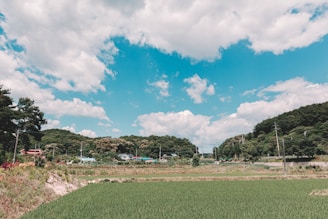 A rural landscape features lush green fields in the foreground and a line of trees and hills in the background under a sky scattered with white, fluffy clouds. There are some small houses and utility poles along the horizon.
