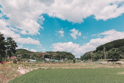 A rural landscape features lush green fields in the foreground and a line of trees and hills in the background under a sky scattered with white, fluffy clouds. There are some small houses and utility poles along the horizon.