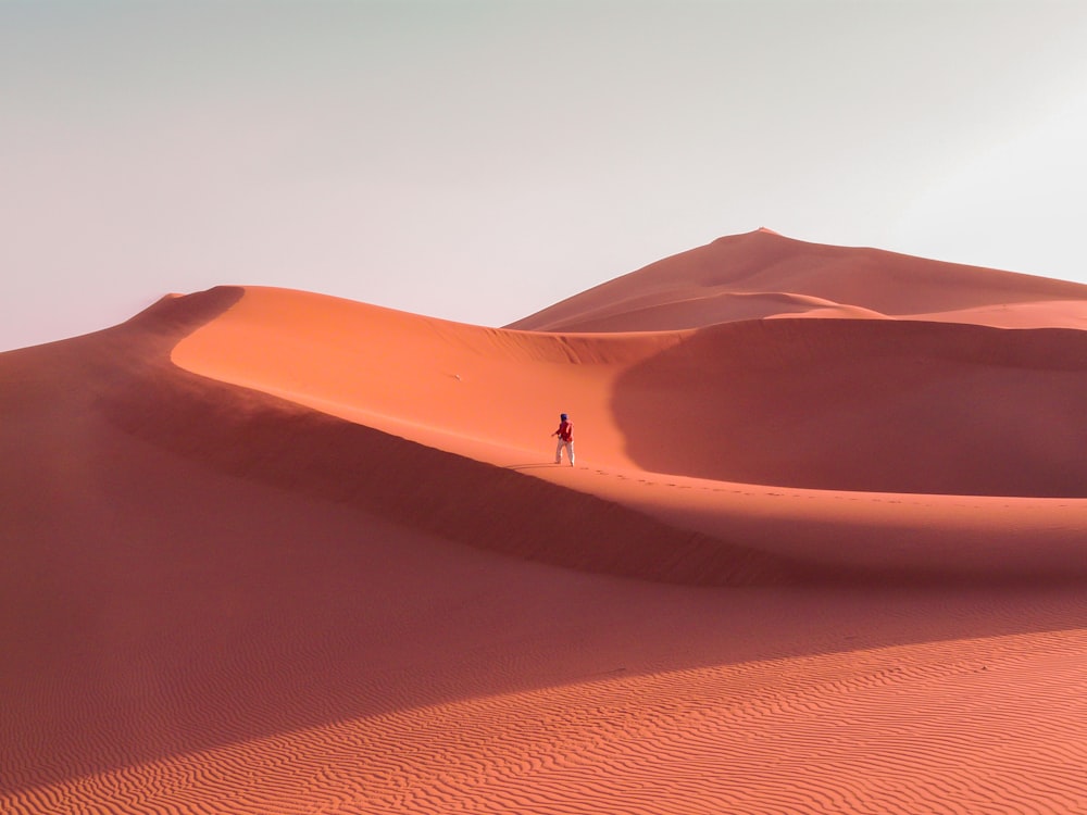 unknown person walking on desert field