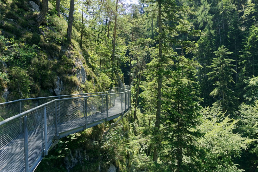 bridge beside a cliff during daytime