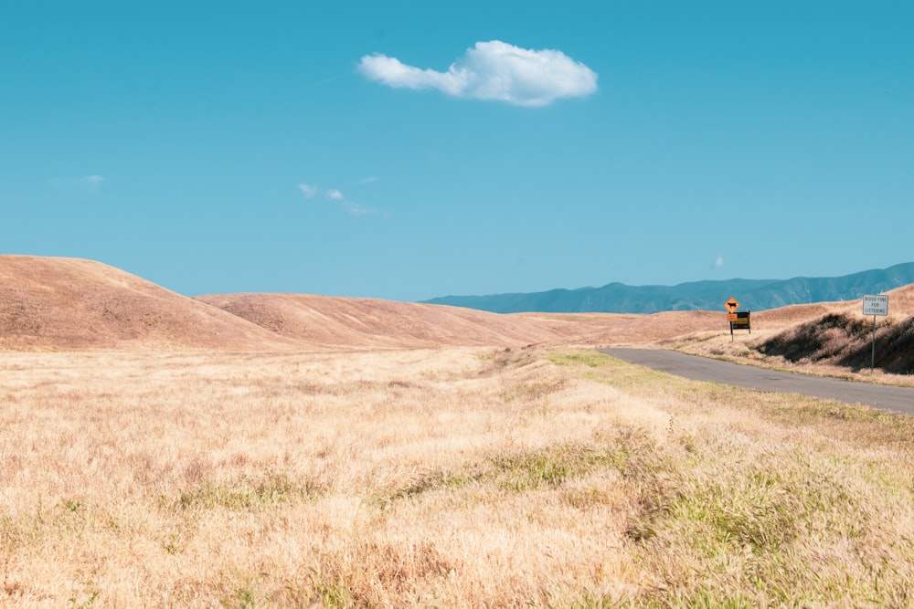 brown grass field with hill and road