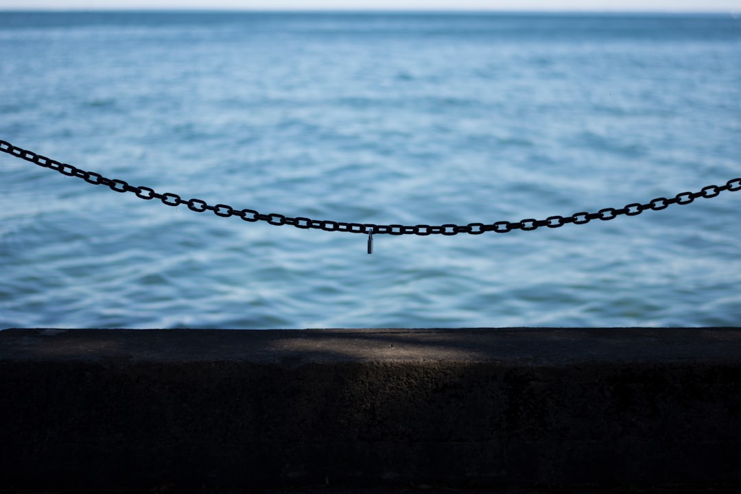 shallow focus photography of chain