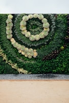 A vertical garden featuring a spiral pattern created with various types of succulents and other greenery. The plants are arranged artistically to form a lush, green display with textural diversity.