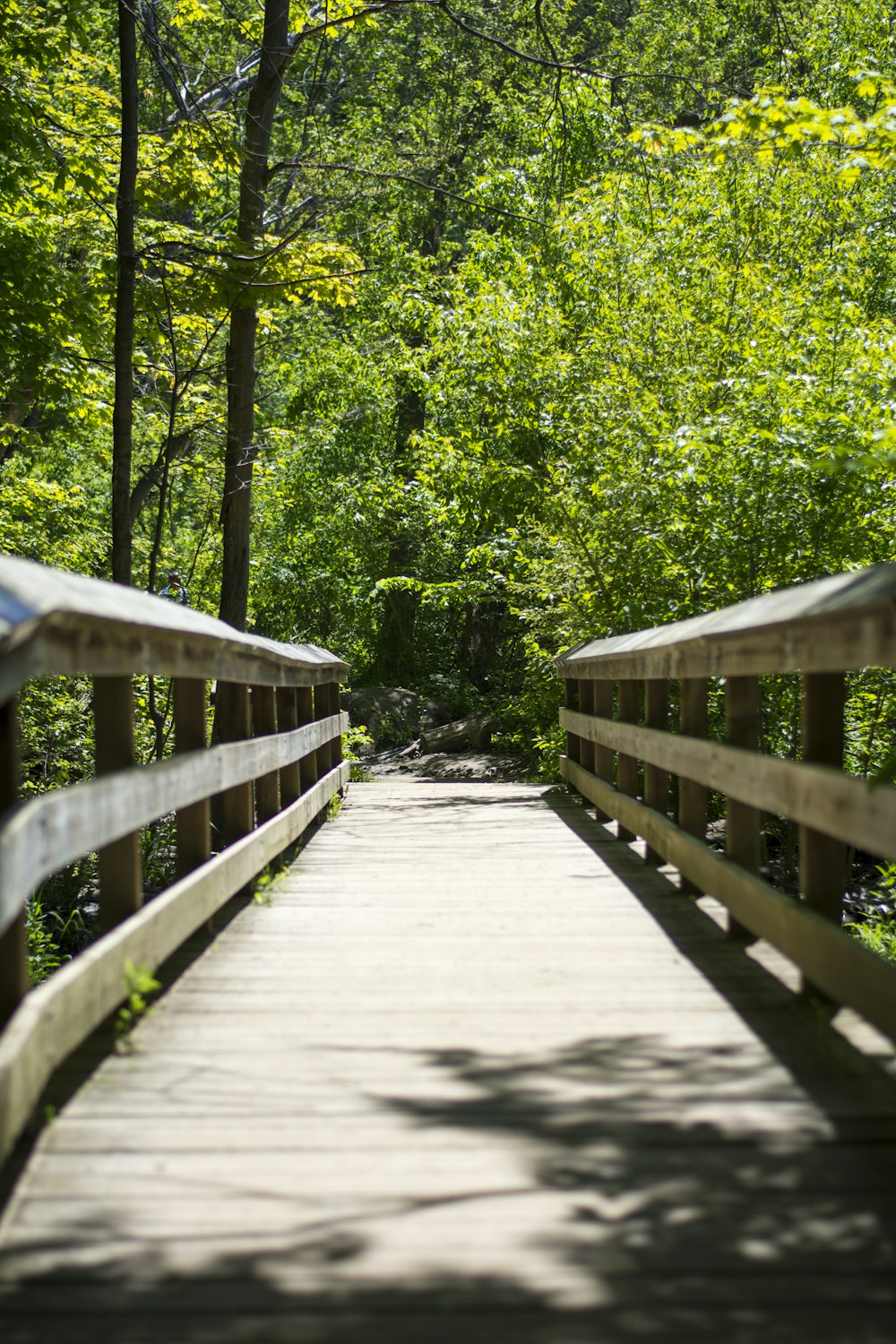 Holzbrücke