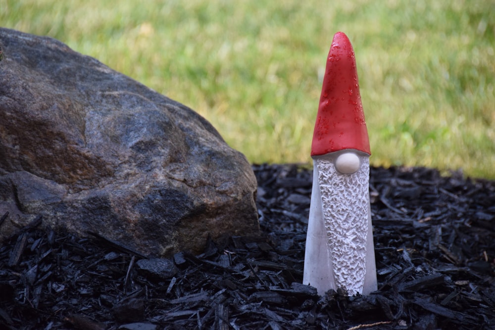 red and white mushroom