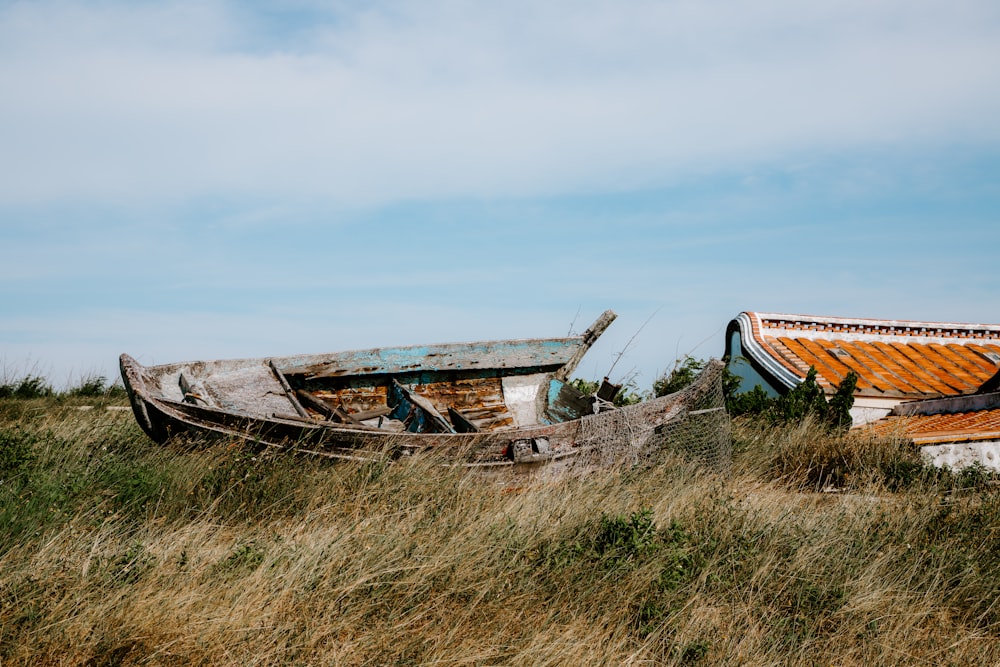 brown canoe on grasses