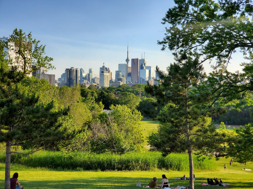 people in a green field during daytime