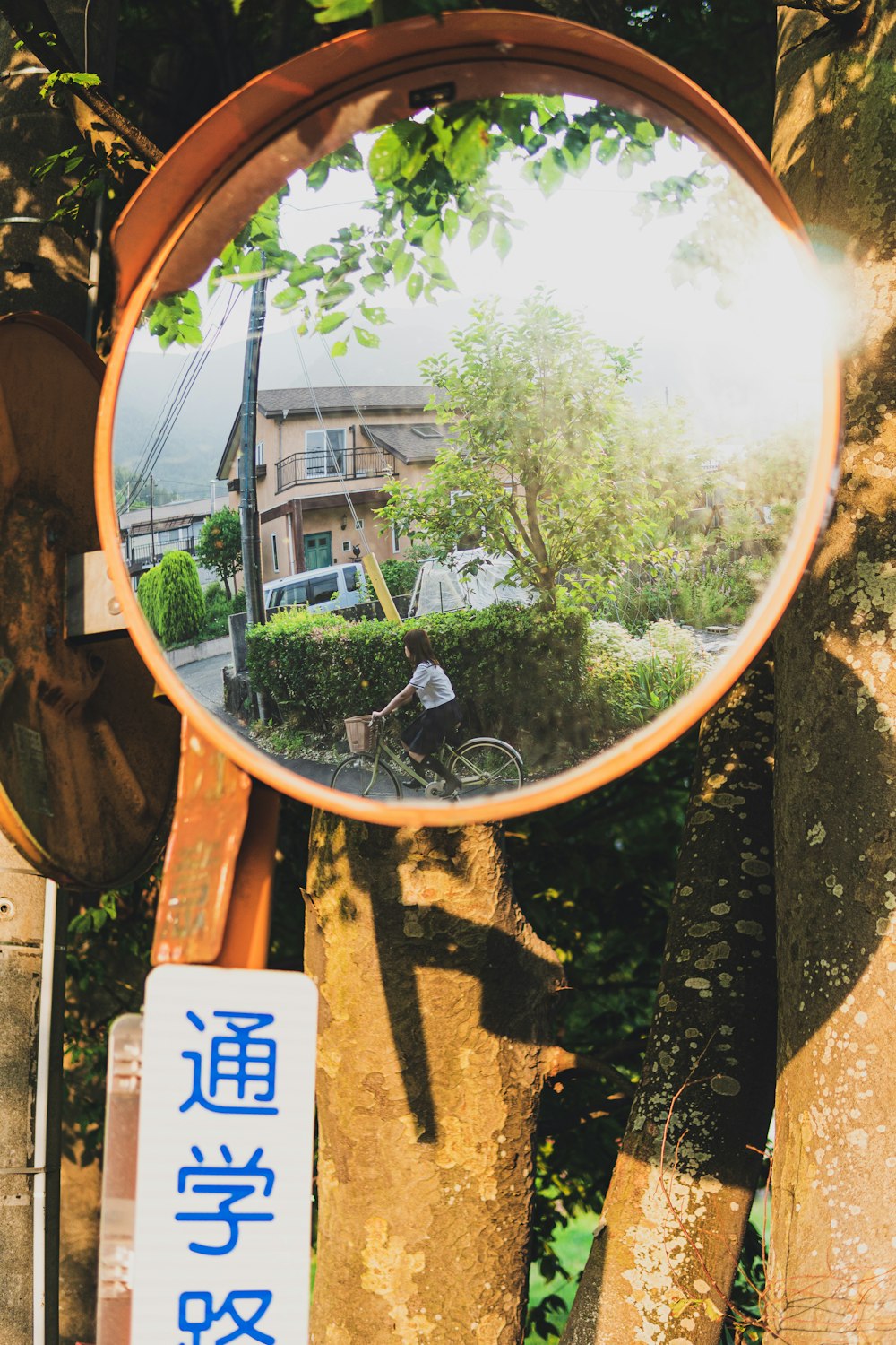 a mirror hanging on the side of a tree