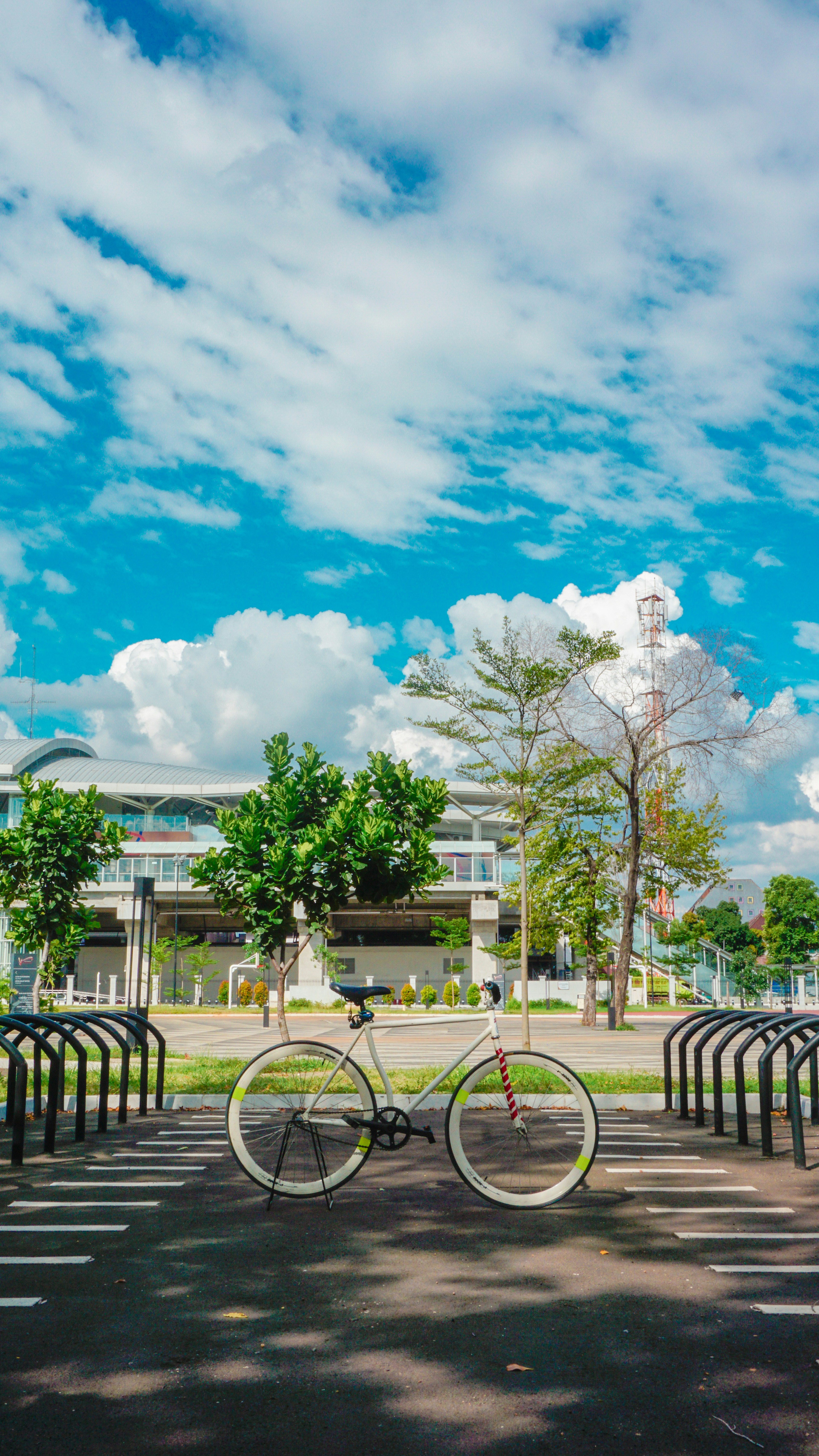 "International University In Bangkok"
