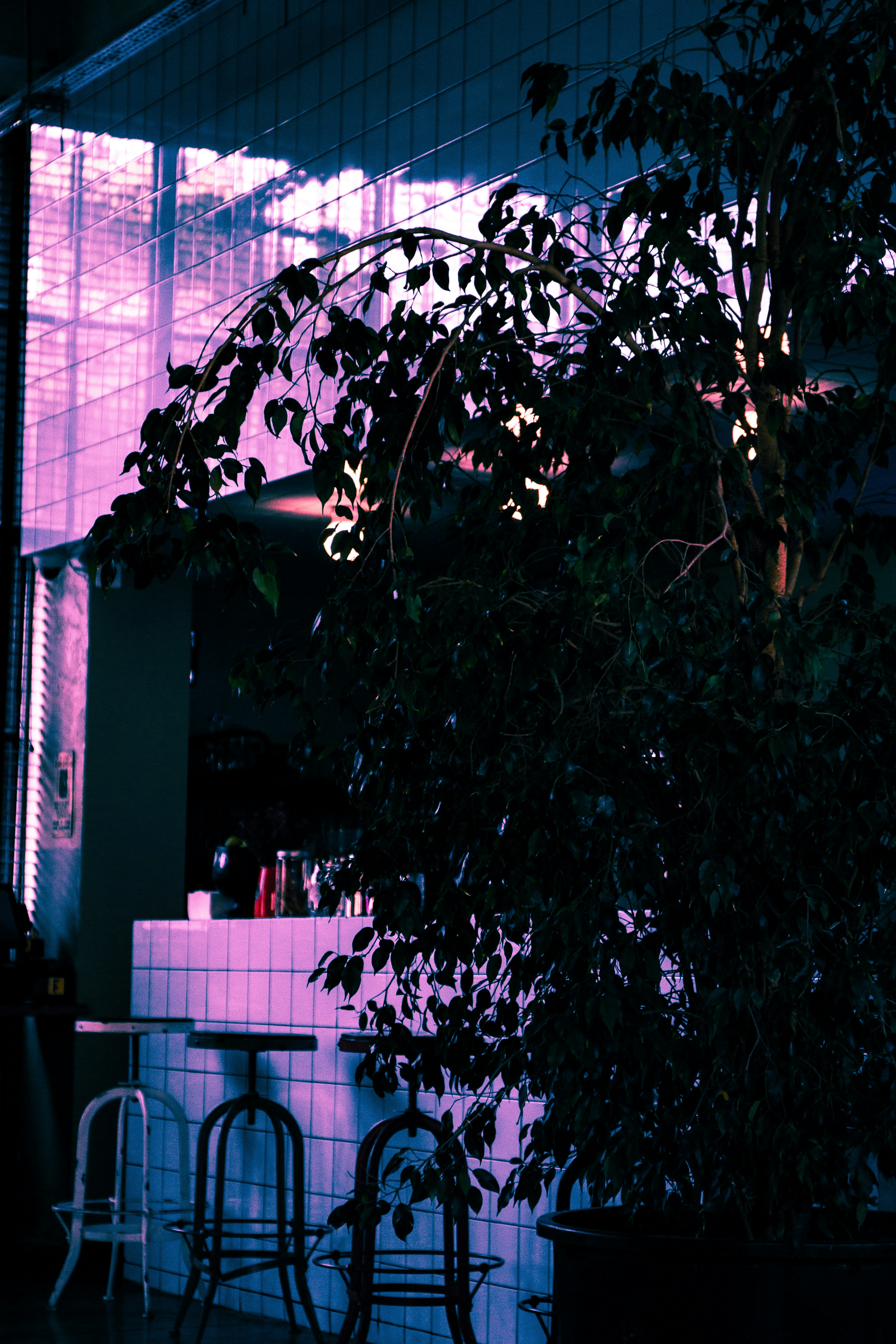 Beacons banner for @bravo