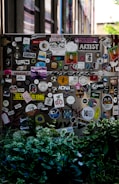 A street scene featuring a wall or surface covered with a large assortment of colorful stickers, each displaying various designs and texts. The scene is partially obscured by lush green foliage in the foreground. The stickers range from cartoonish graphics to text-based designs, contributing to an urban and artistic aesthetic.