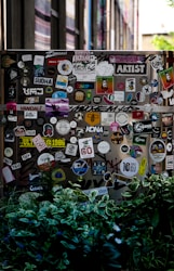 Explorando el Festival Sticker Palooza en Tijuana