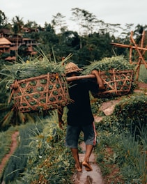 man carrying green crops