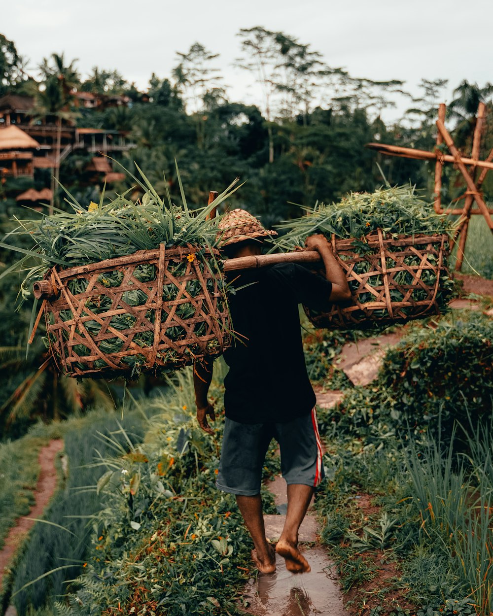 homme portant des récoltes vertes