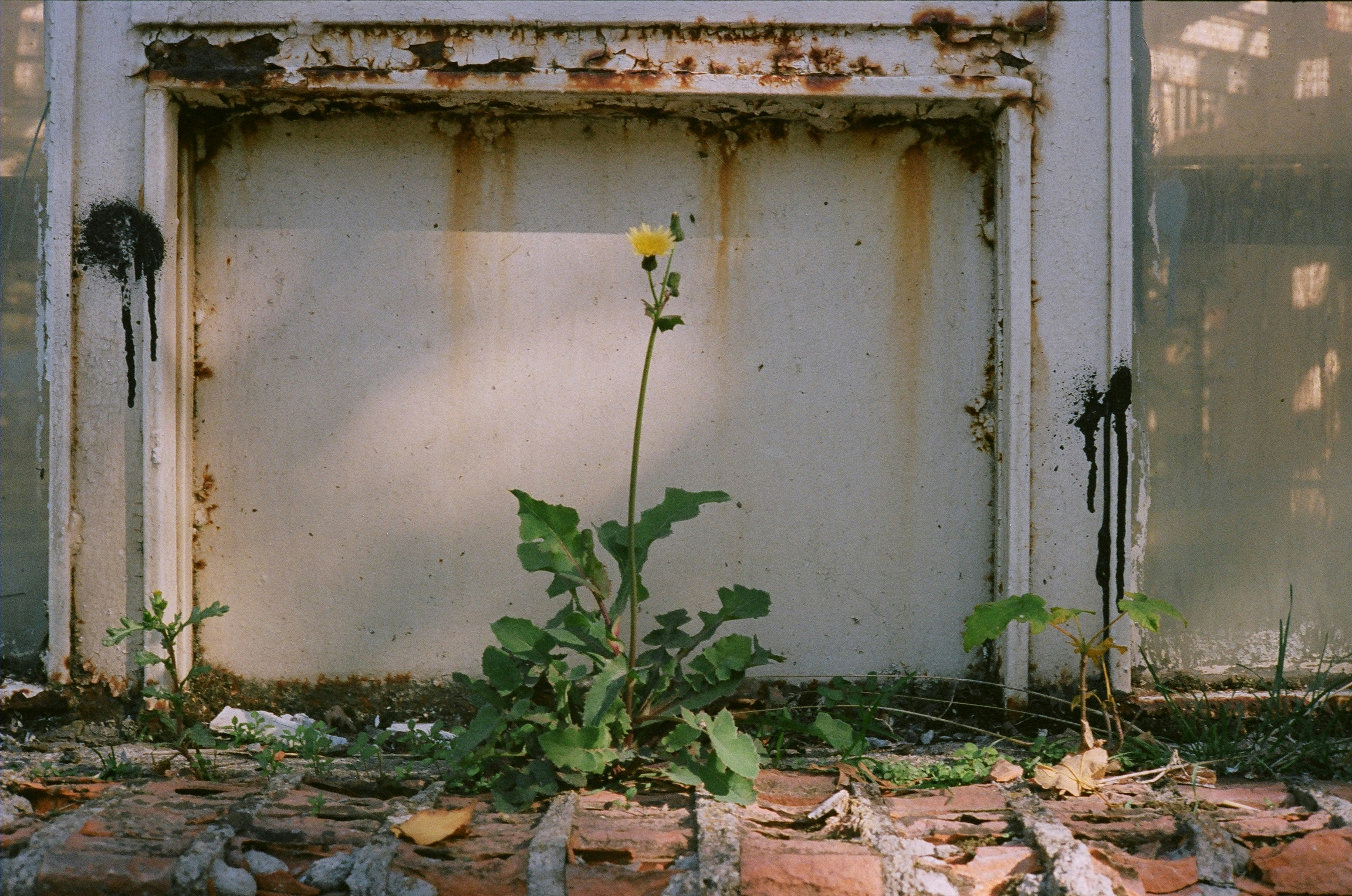 Photo by oskaycaglar