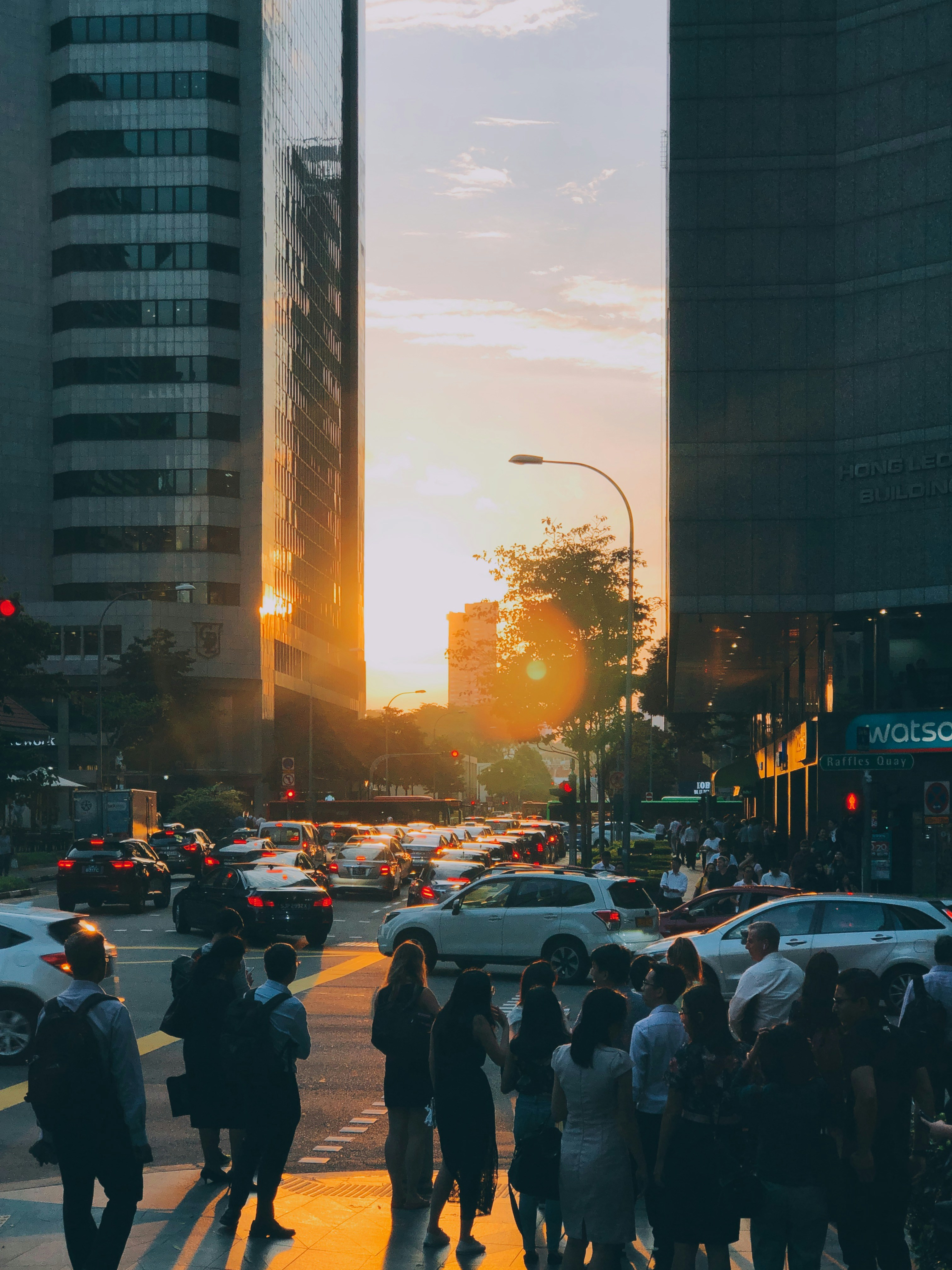 Photo by seewhatmellsees