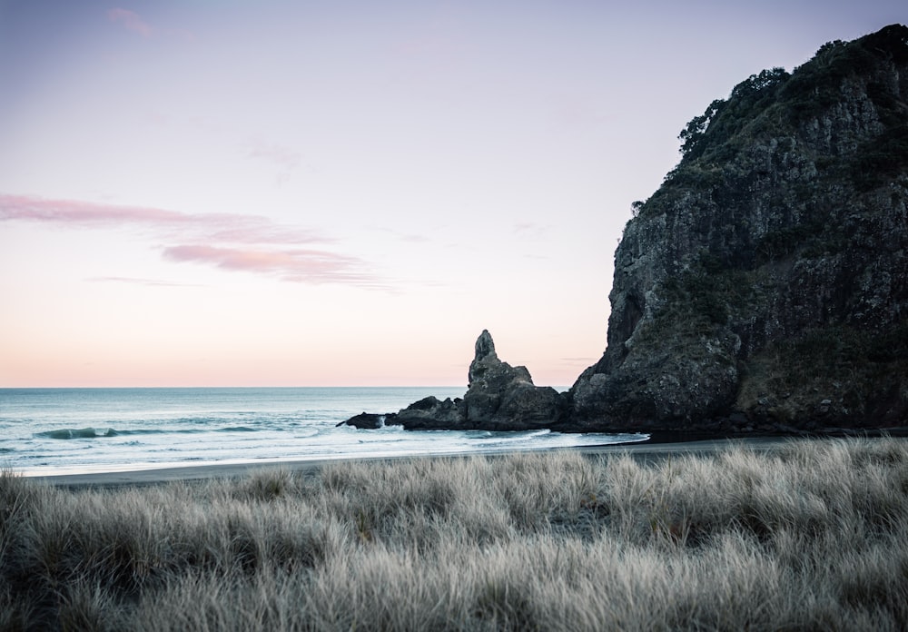 body of water near shore