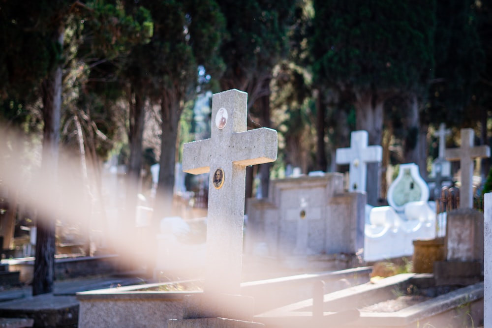 concrete grave in close-up photo