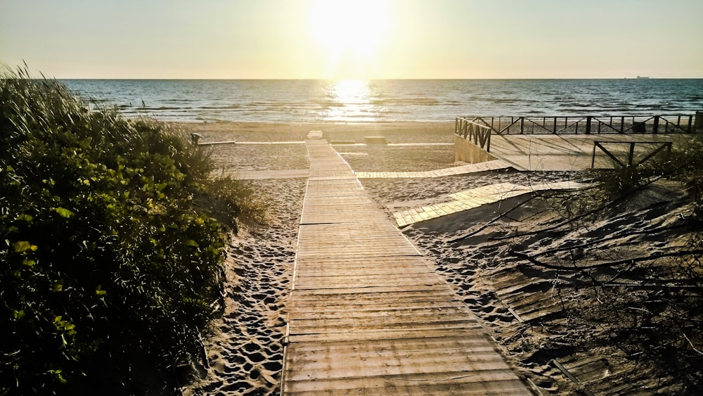 gray pathway near body of water